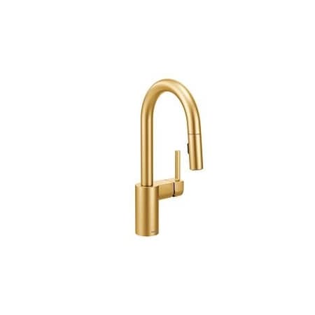 Moen Align Pulldown Bar/Prep Bg 5965BG